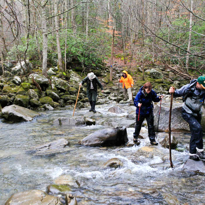 Near Ranger Falls Trail