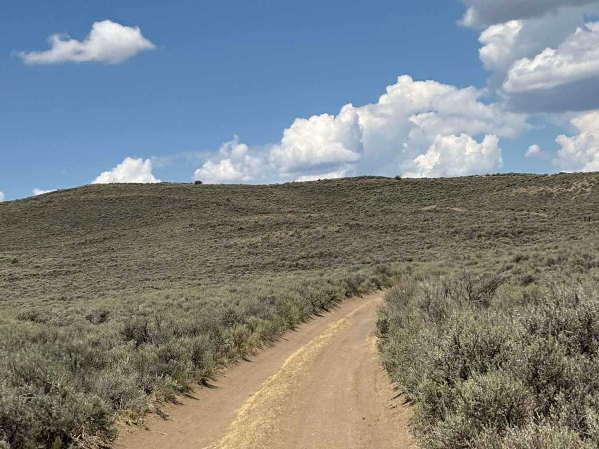 Kremmling Cretaceous Ammonite Locality Access photo 4