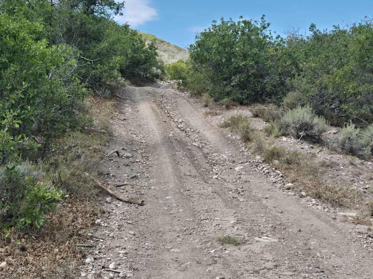 Rugged Wash Trail - FS 41120 trail photo