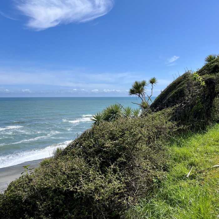 Near Point Elizabeth Lookout Track Near Point Elizabeth Lookout Track