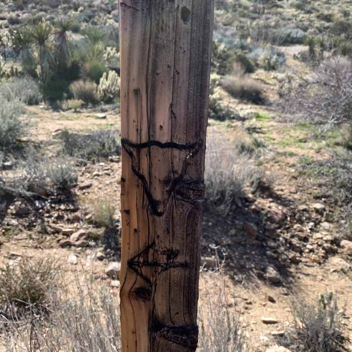 Near Box Canyon Trail