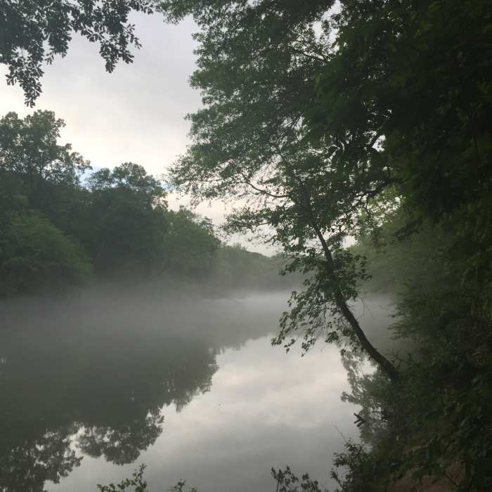 Morning mist along the river heading from JB 4. Near Jones Bridge Loop