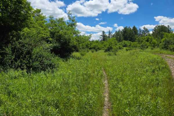 Single Track PP