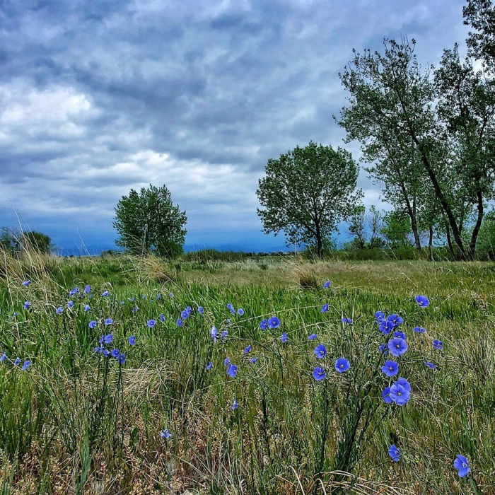 Near McKay Lake Trail