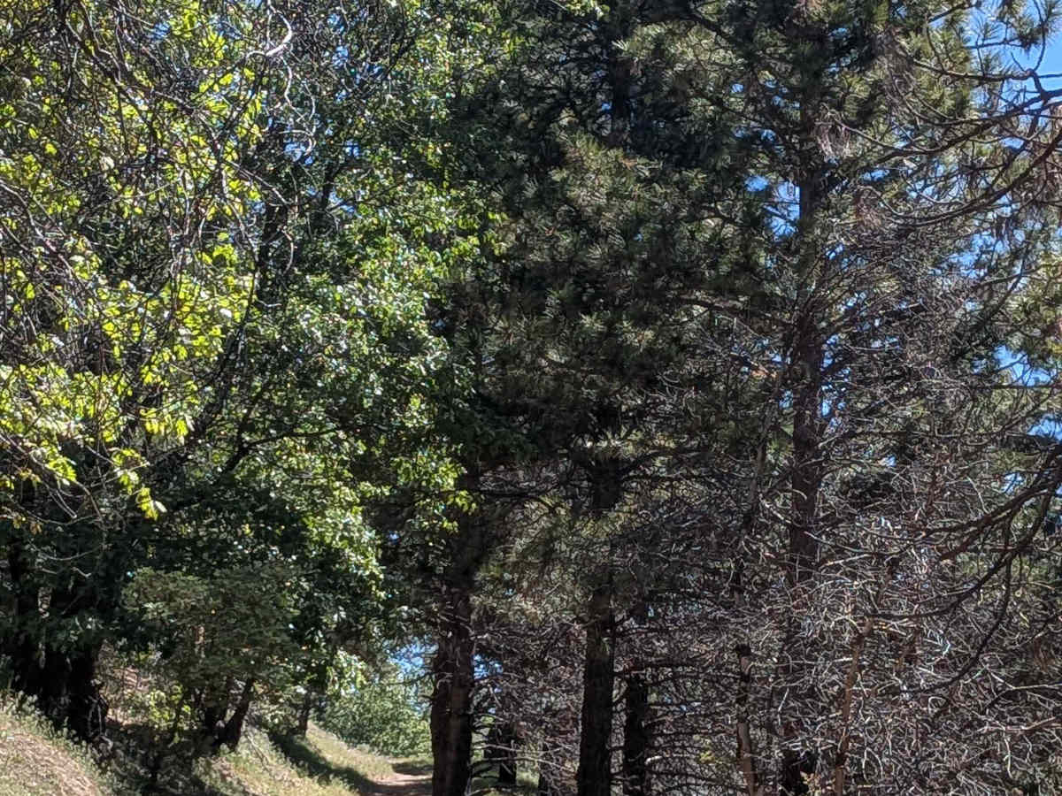 Little Poso Creek - FS 26S12 photo 2