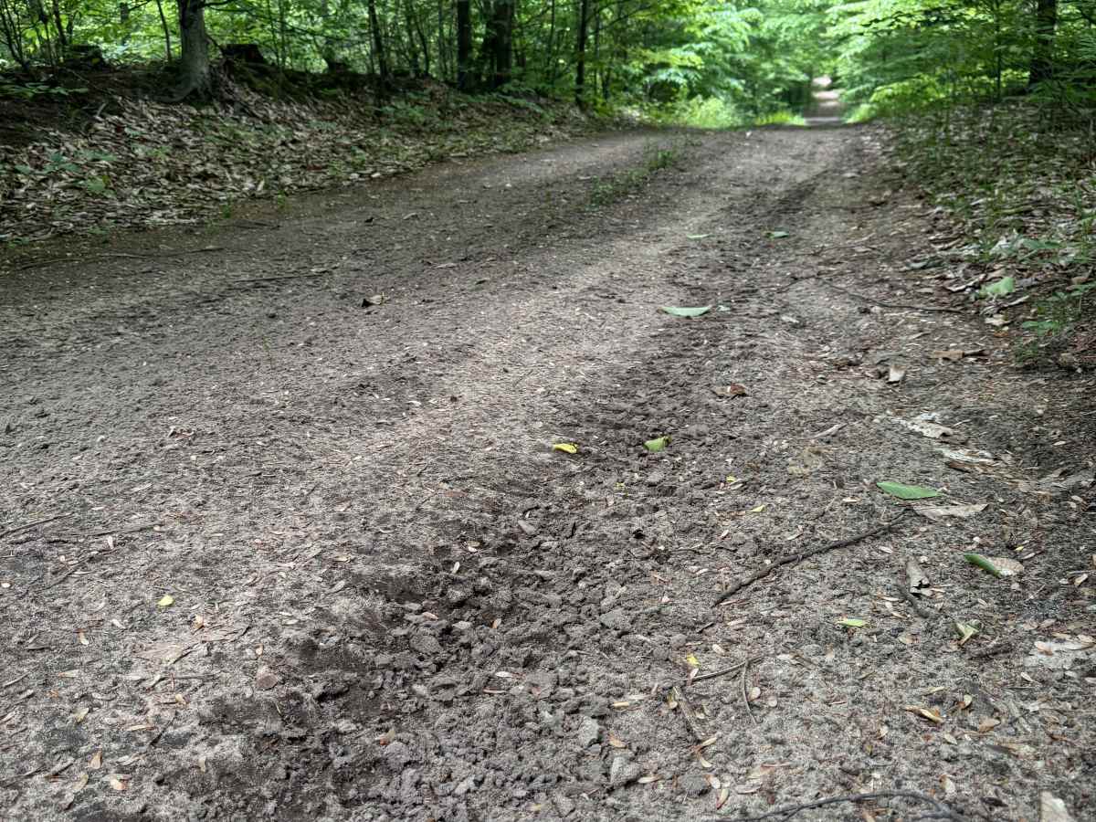 Kalverse Trail North photo 6