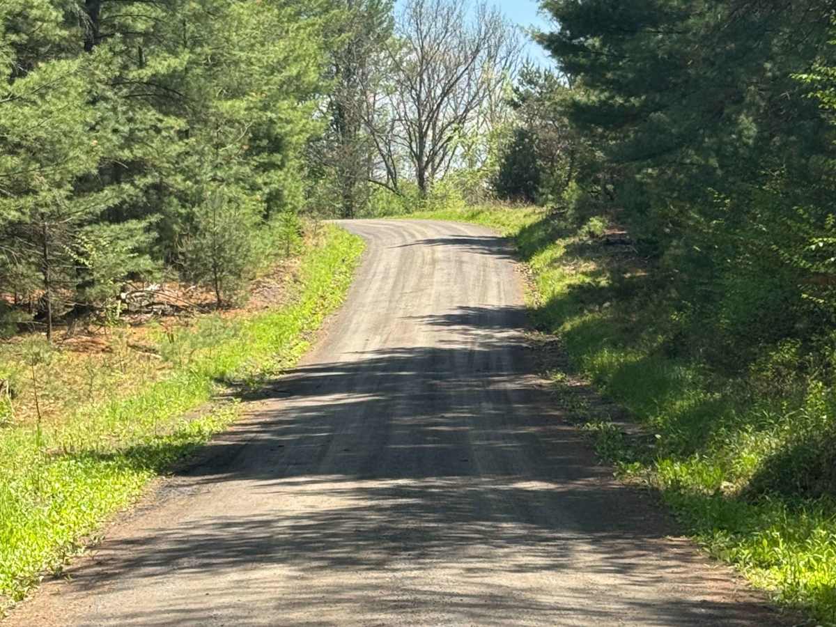 Woolridge Road photo 5
