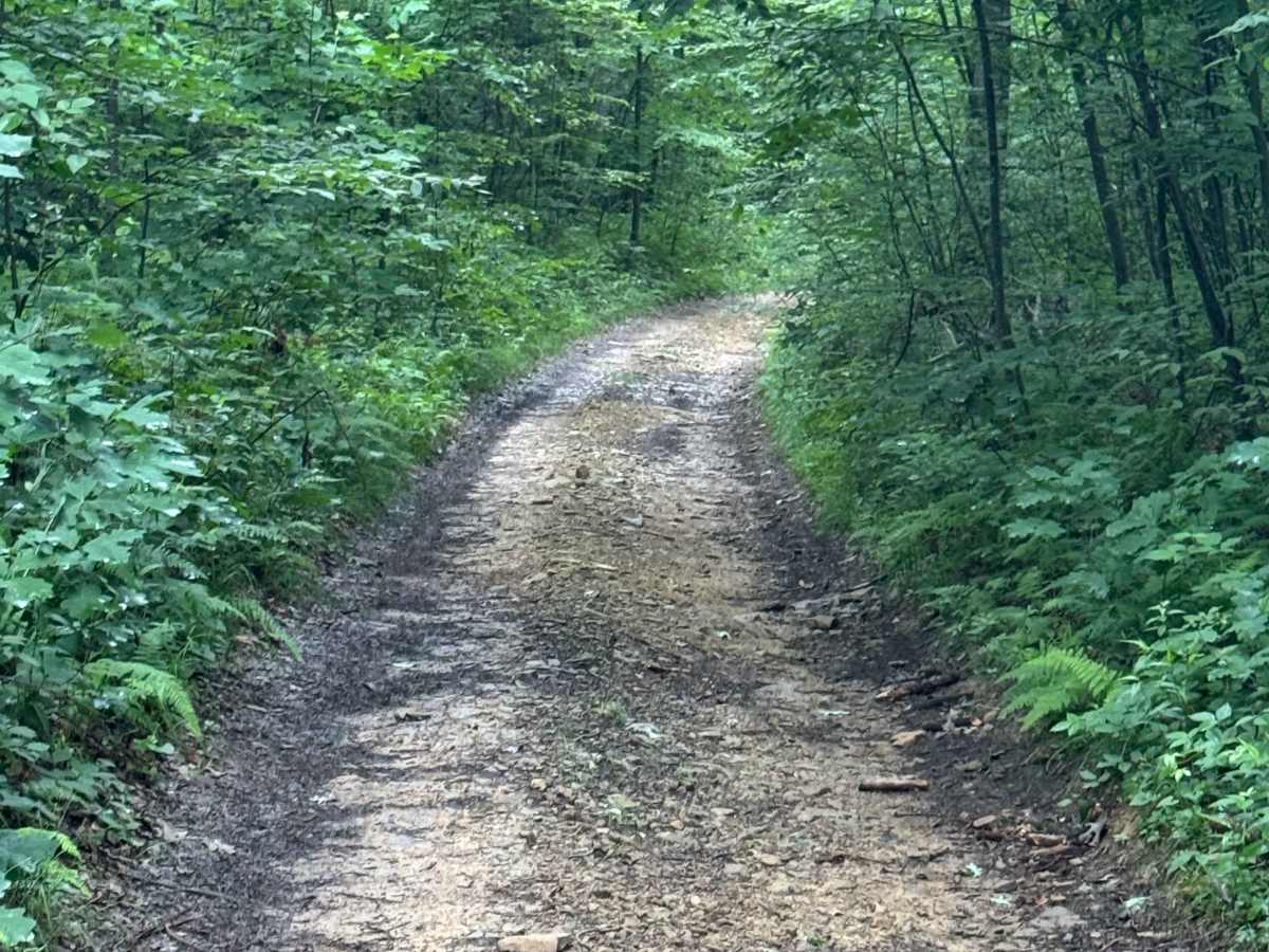 Trail 73 photo 3
