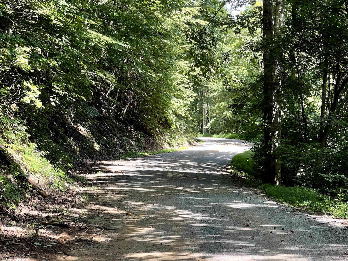 Dagger Springs Road photo 2