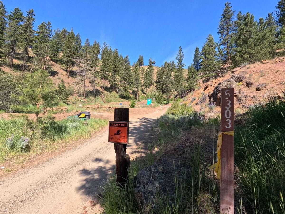 Powerline Road - FS 5303 trail photo