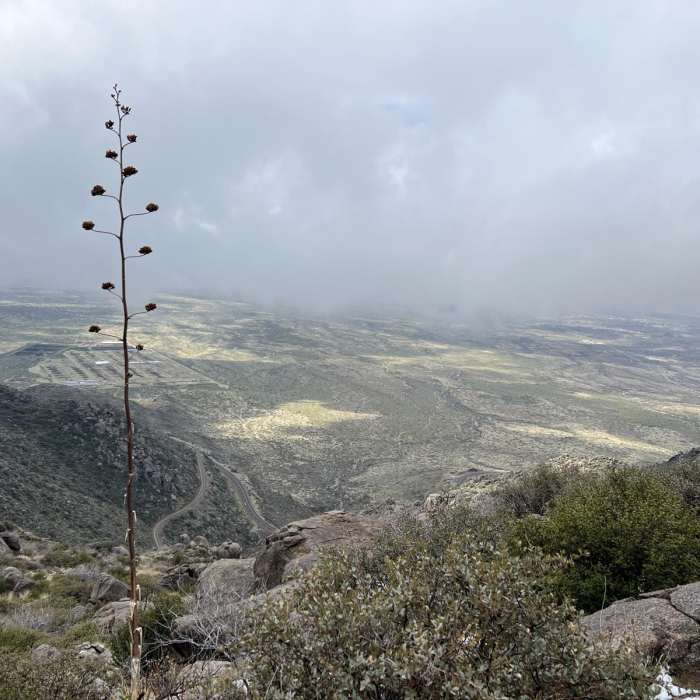 Near Granite Hot Shots Memorial
