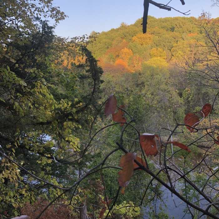 Looking across the river at the opposing bluffs. Near Backbone Lake Loop