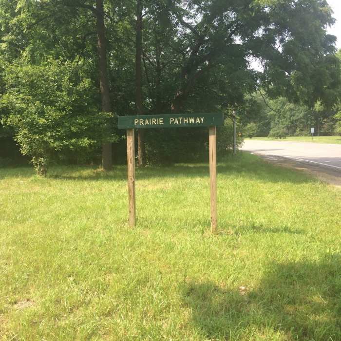 Near Stone Bridge Nature Trail