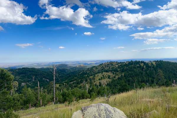 Cicero Peak Road
