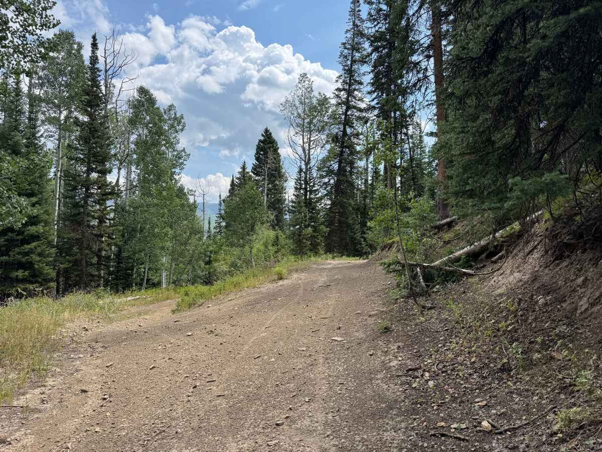 Upper Ways Gulch Road photo 2