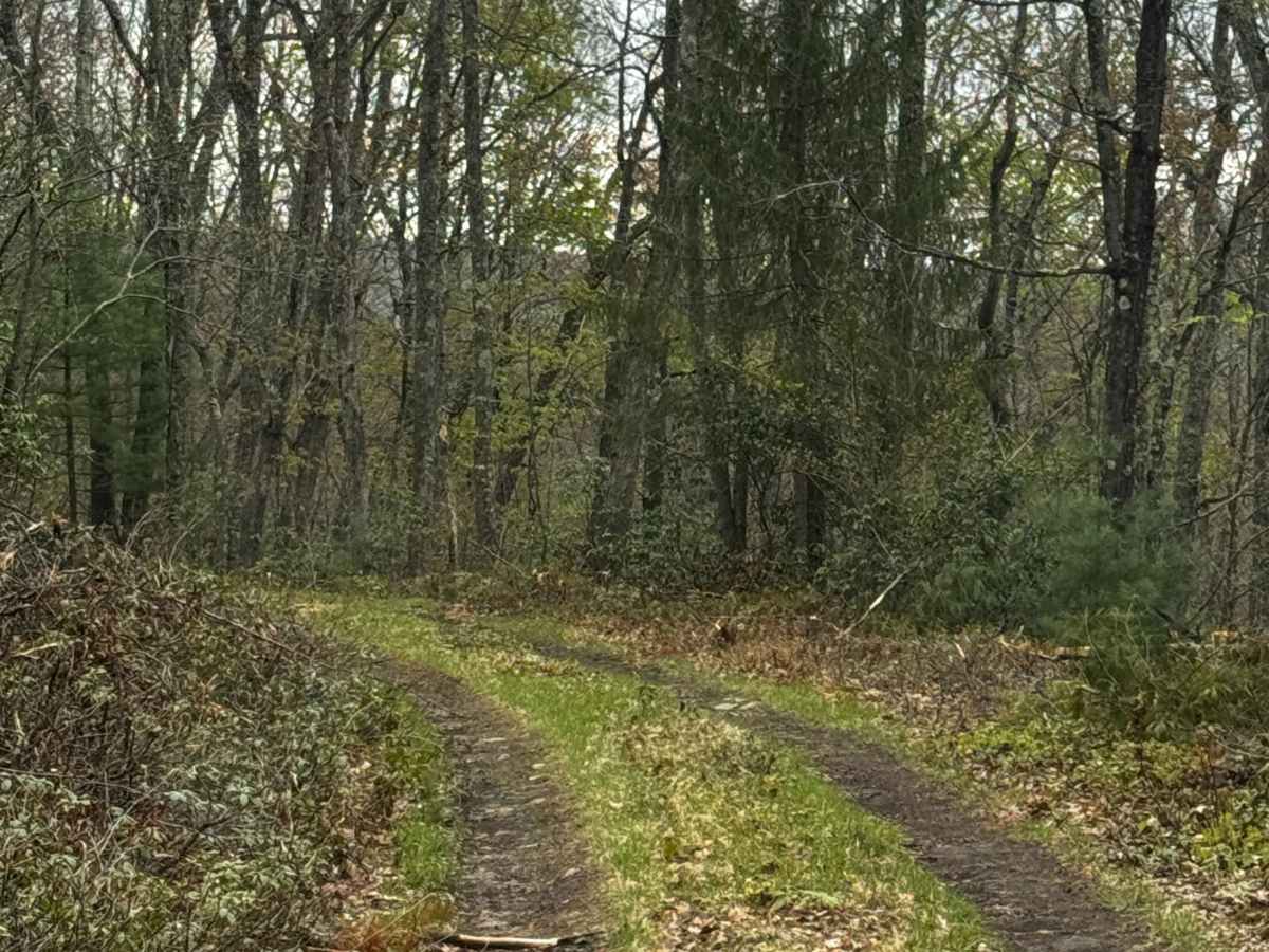 Naval Run Trail photo 4