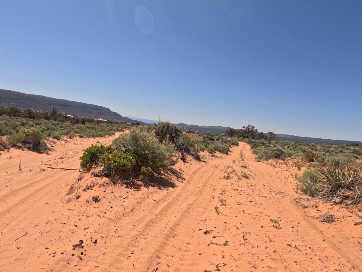 BLM 33 photo 6