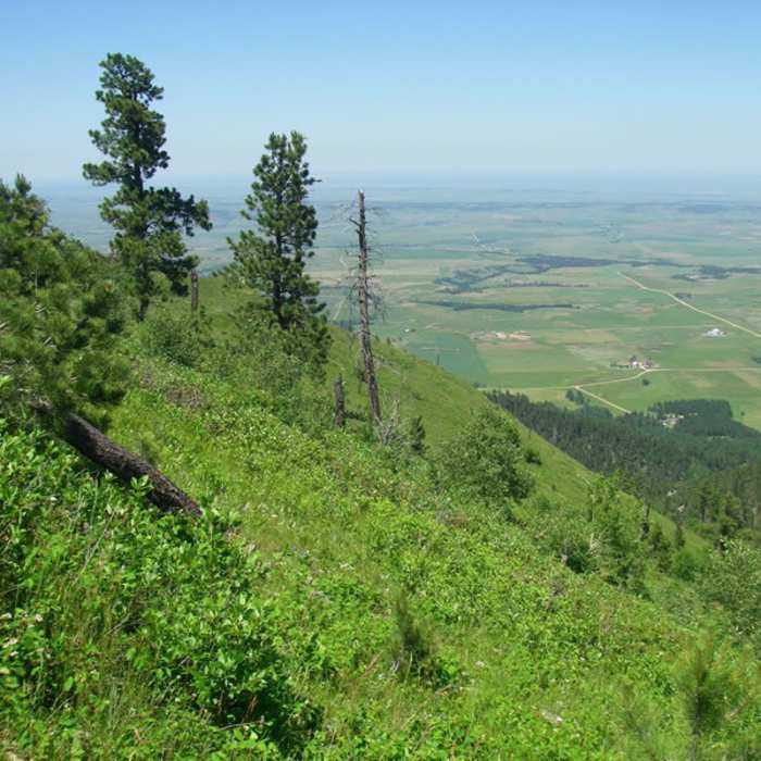 Near Crow Peak Trail (#64)