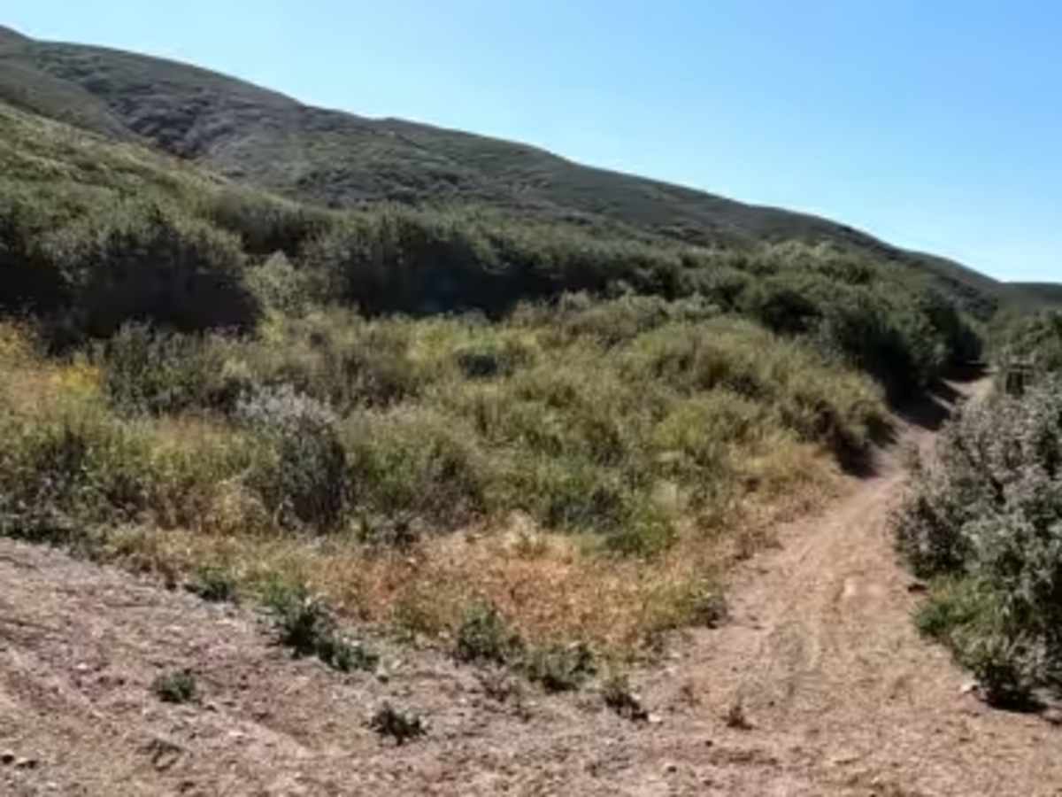 Sierra OHV Trail photo 5