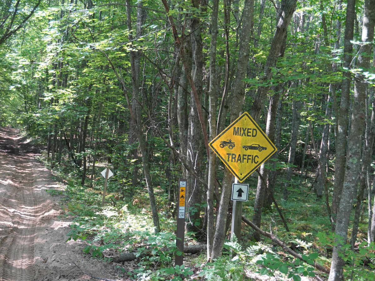 Woods Road photo 3