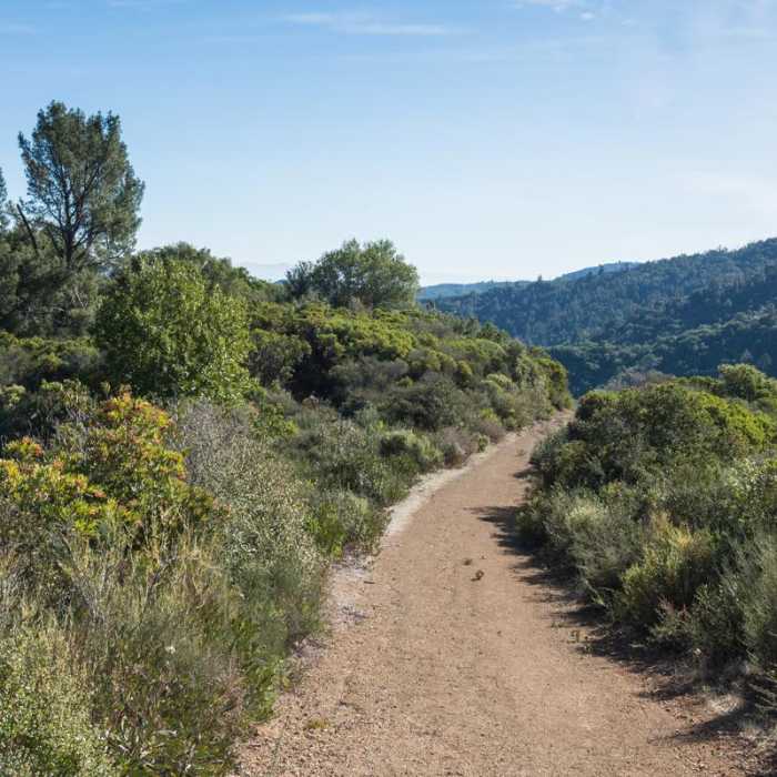 Near Knibbs Knob Near Knibbs Knob