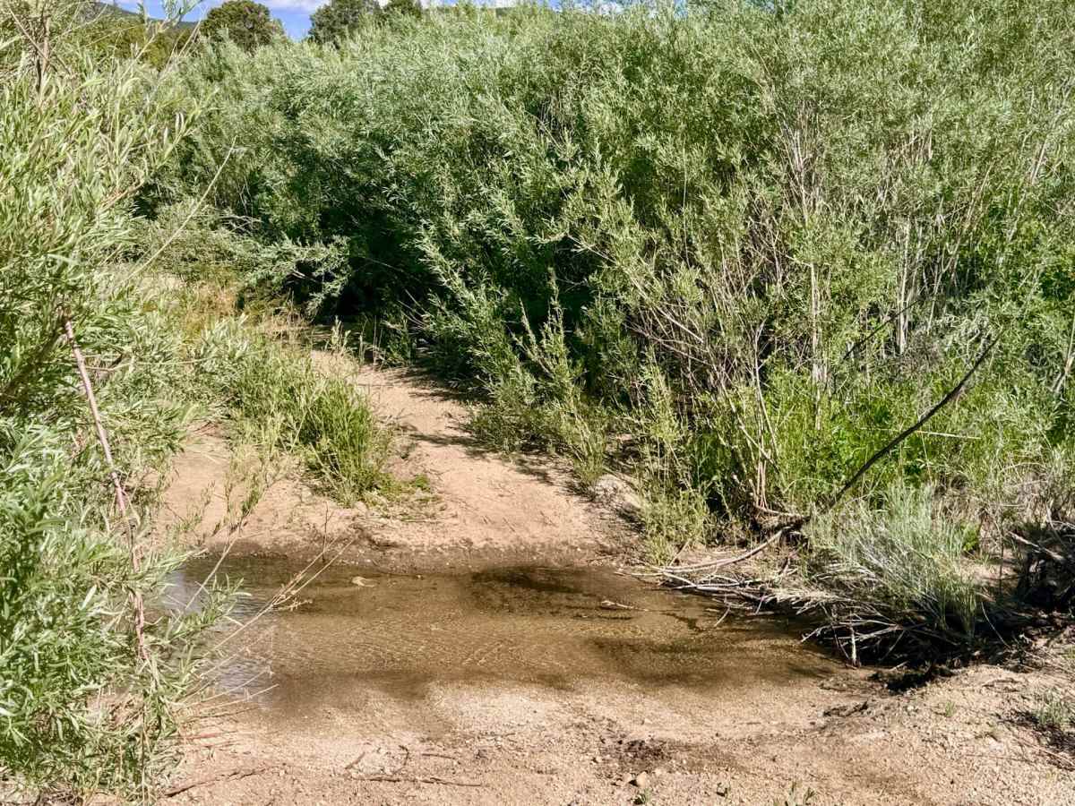 Lower Cross Canyon photo 5