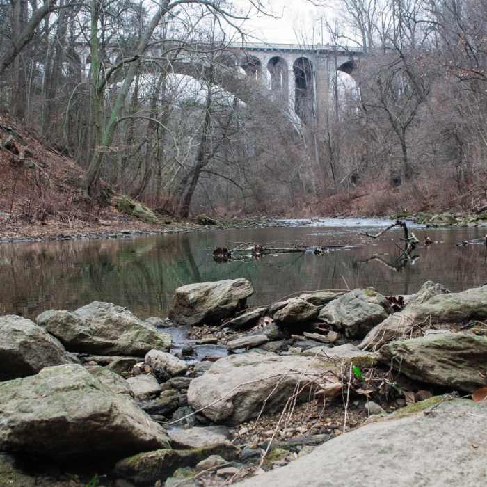 Near Wissahickon Valley Park Near Wissahickon Valley Park