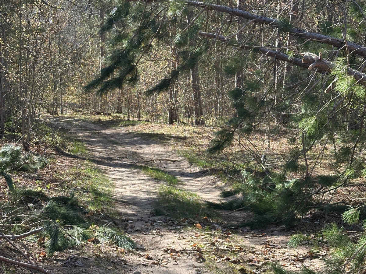 Crooked Road photo 5