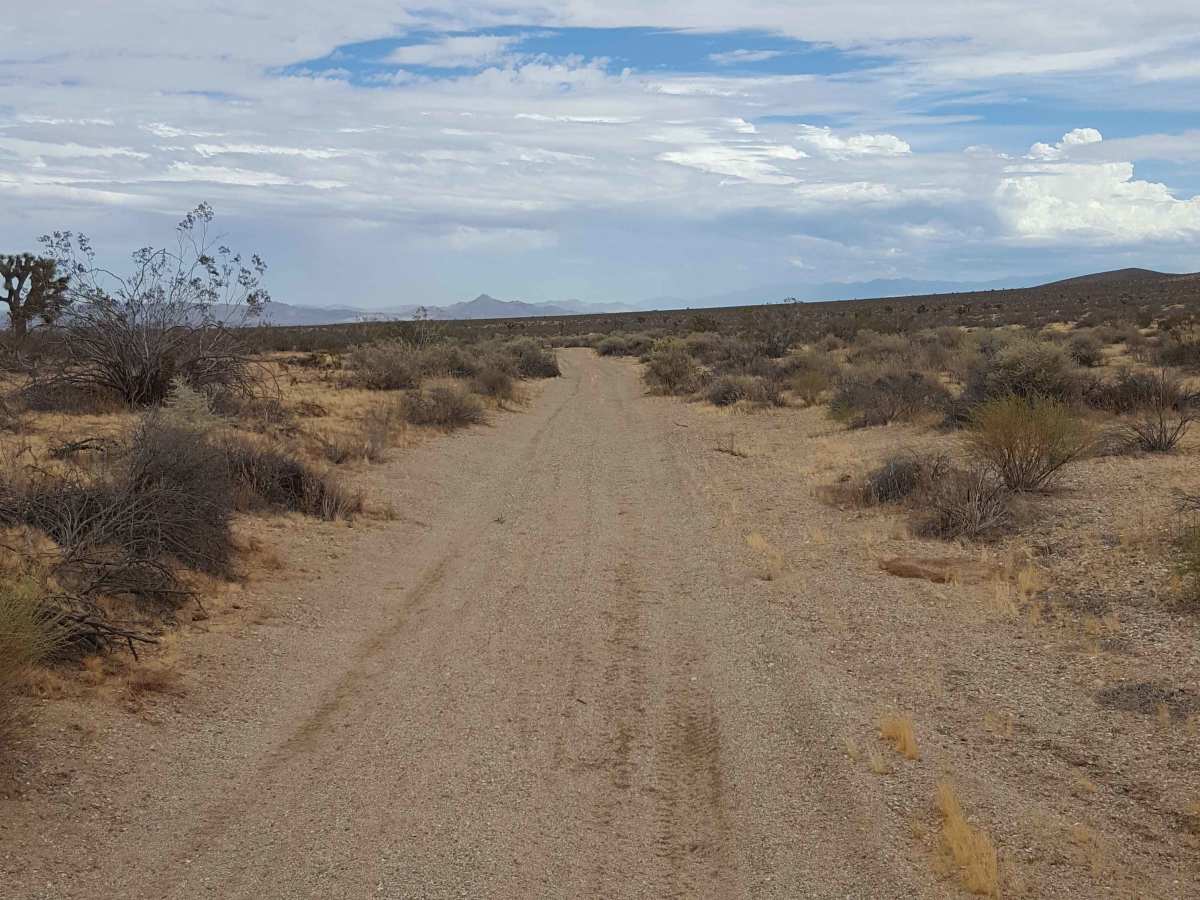 Outback Trail photo 6
