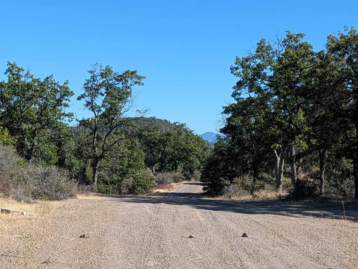 Pit Canyon Flat - FS 37N57Y photo 6