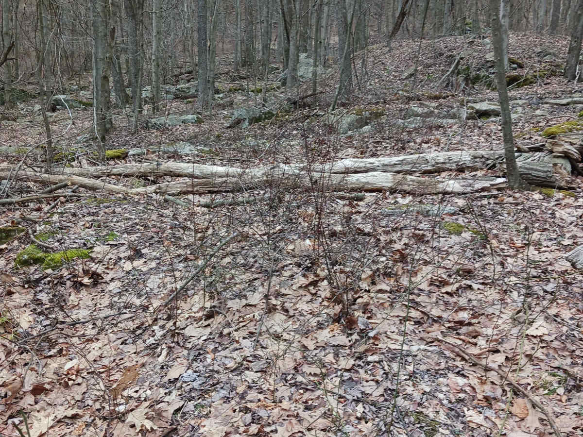 OHV 55 - Rock Run Recreation Area photo 3