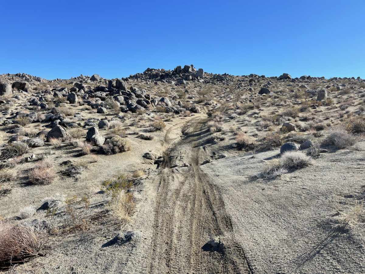 Viejo Road trail photo