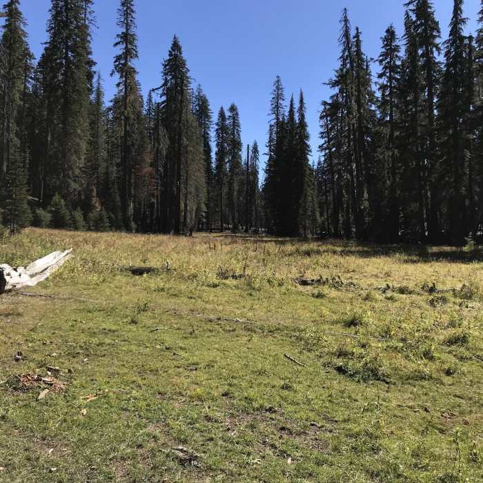 Near Stanshaw Trail