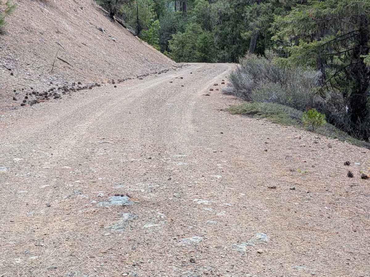 Ditch Gulch Road - FS 30N46 photo 3