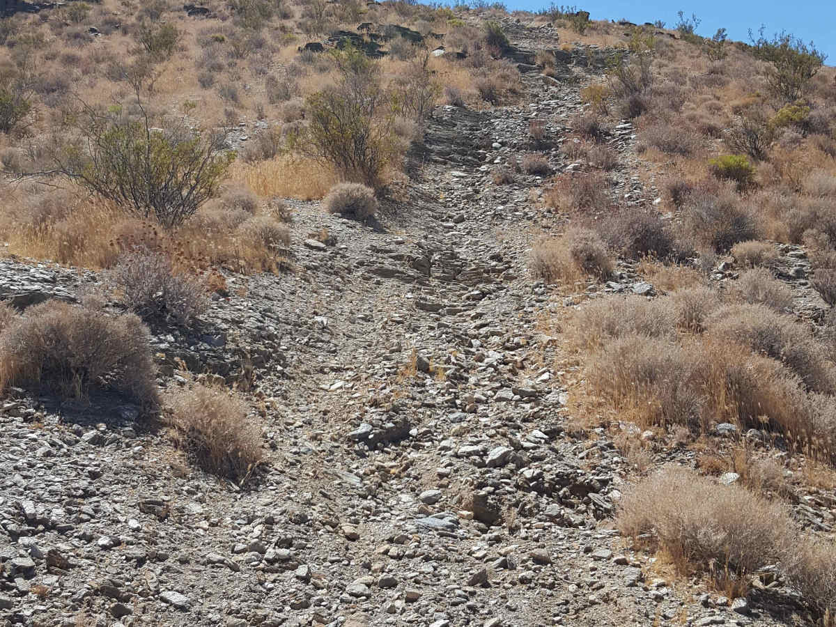 Trail 53 photo 2