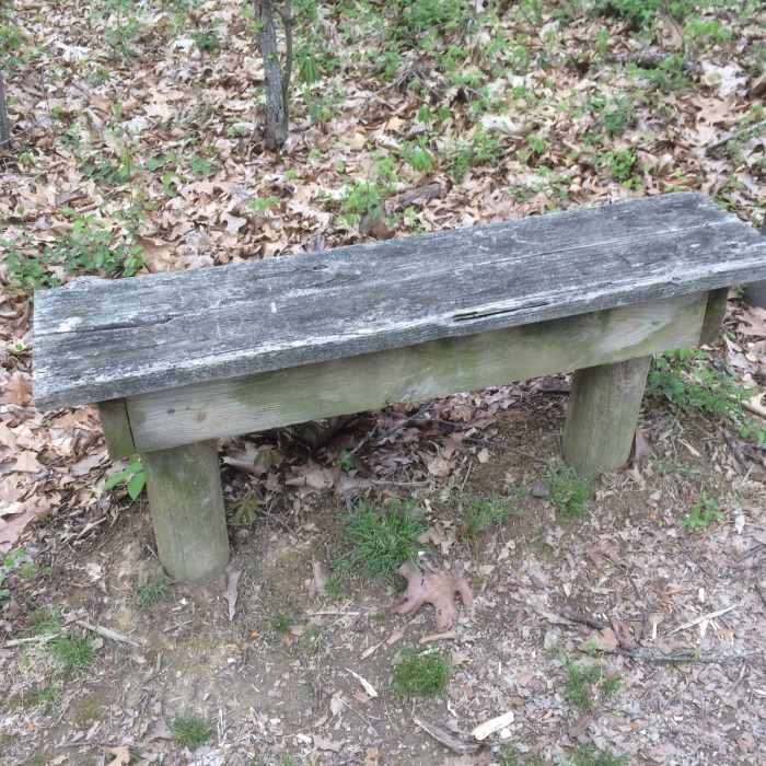 Oak Ridge Trail | Hiking Trail Maps, Difficulty, Trail Status | onX