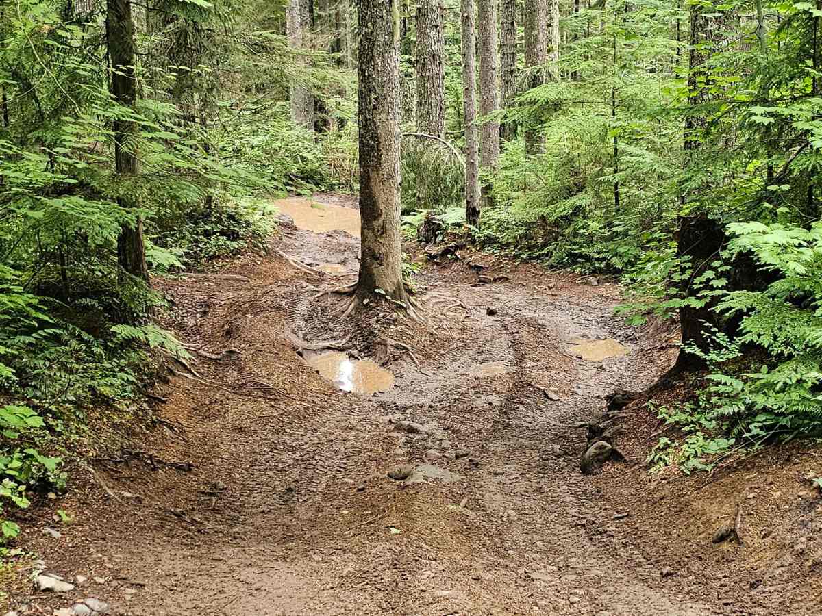 Gotcha trail photo