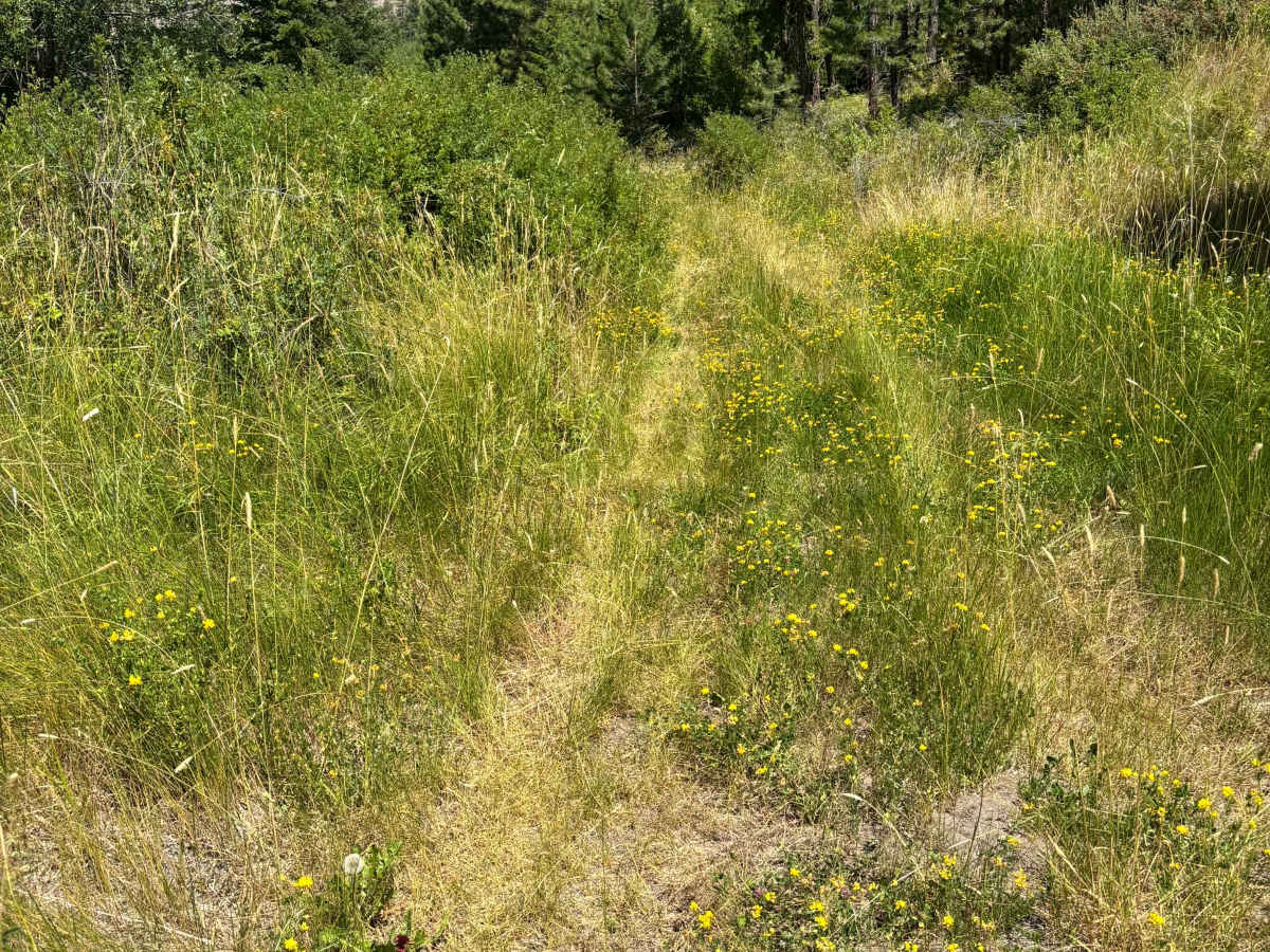 Vaseux Protected Area photo 6