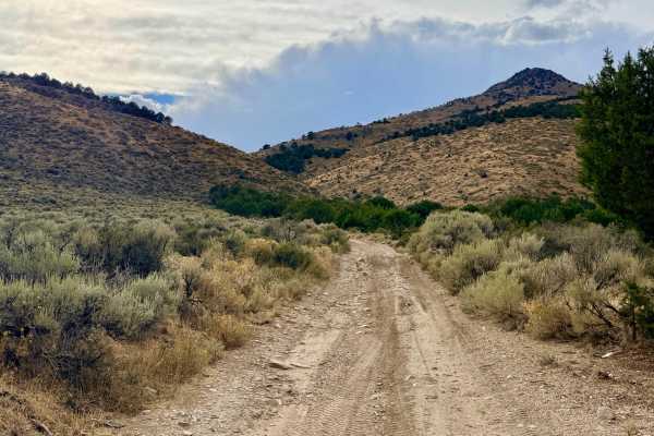  Road Canyon - FS 57111