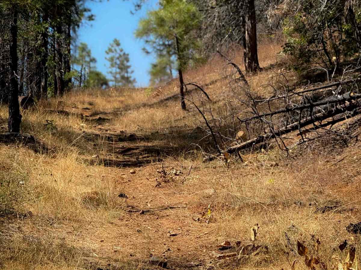 Cashman Ridge  photo 6