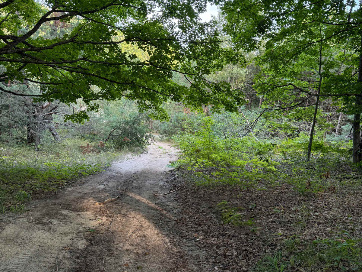 3 Powerline Trail photo 5