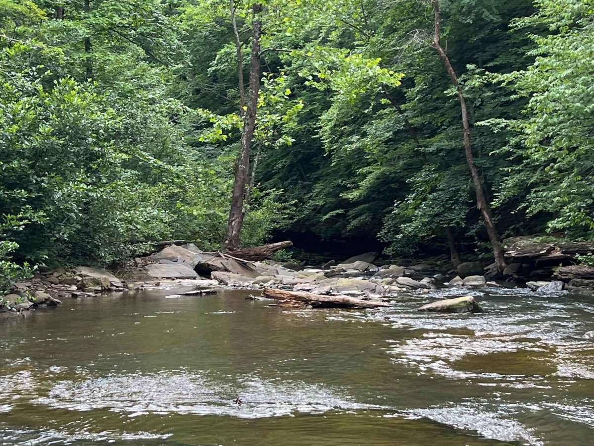 Murray creek photo 5