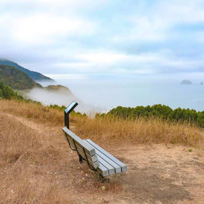 Near Fern Trail Near Fern Trail