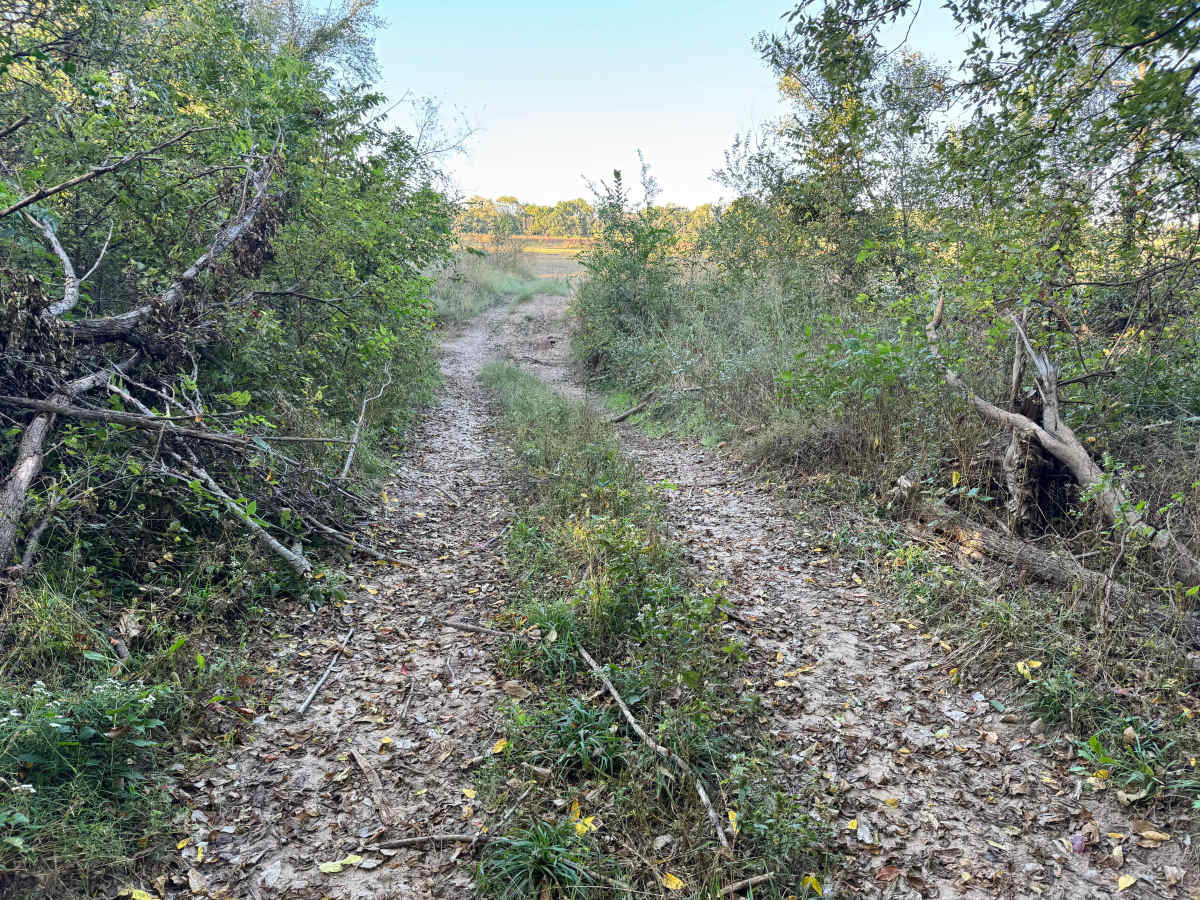 EGT Hill photo 3