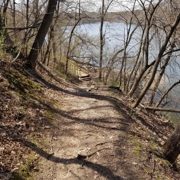South side looking south. Near Pine lake