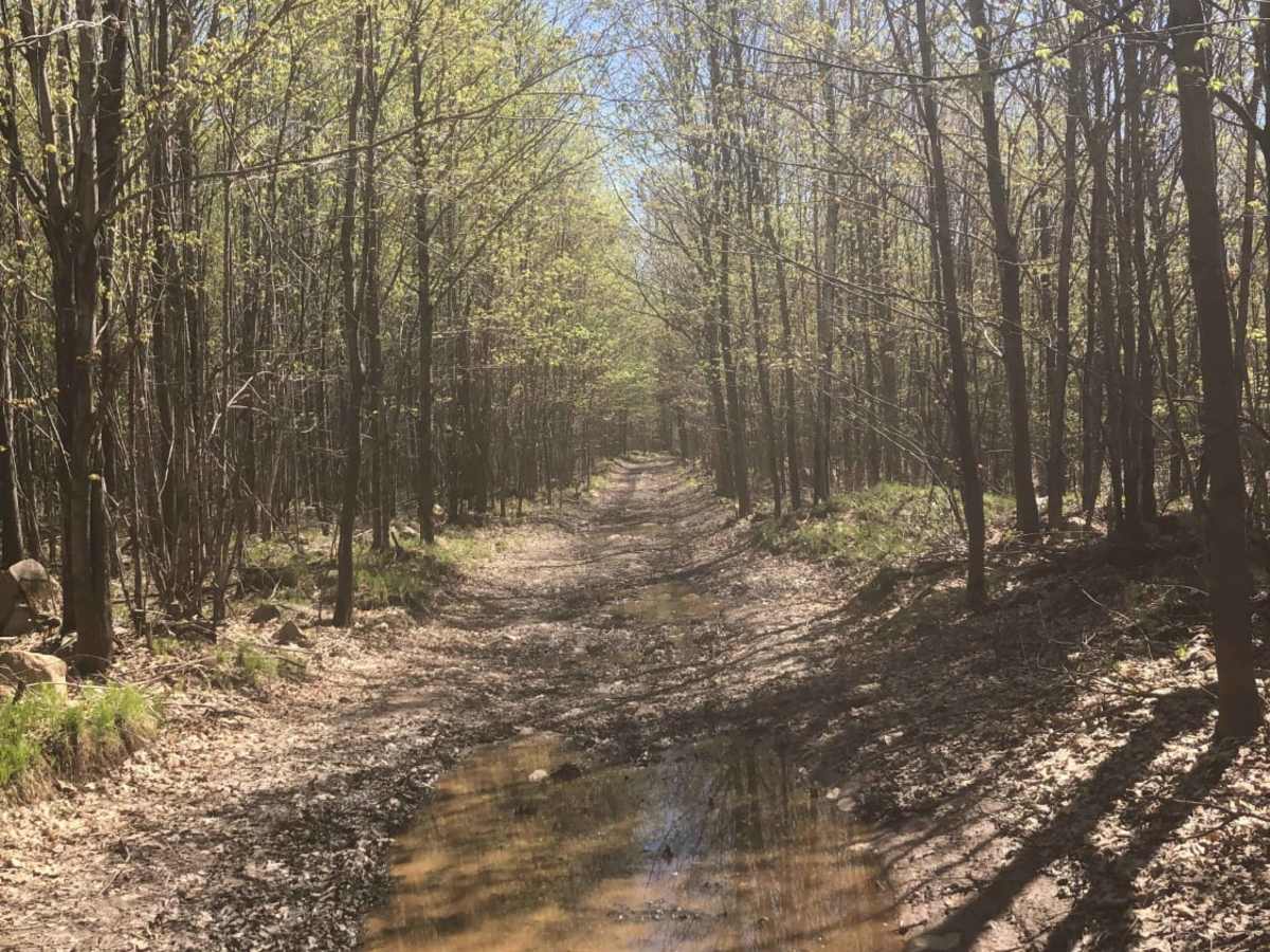 South Pelican trail photo