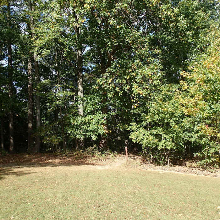 Near Pond Loop Trail