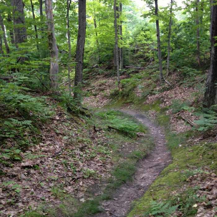 Near Bobsled Loop