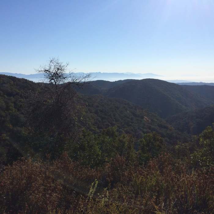 Near Temescal Ridge Trail