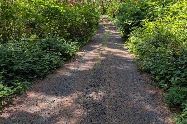 Grass Creek Rd - FS 3430